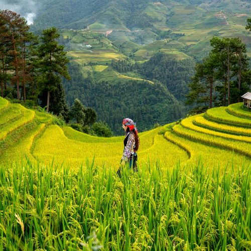 7 Ways Sustainable Agriculture Is Powering Community Growth in Africa